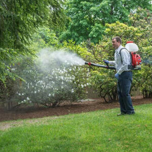 employee spraying outside home